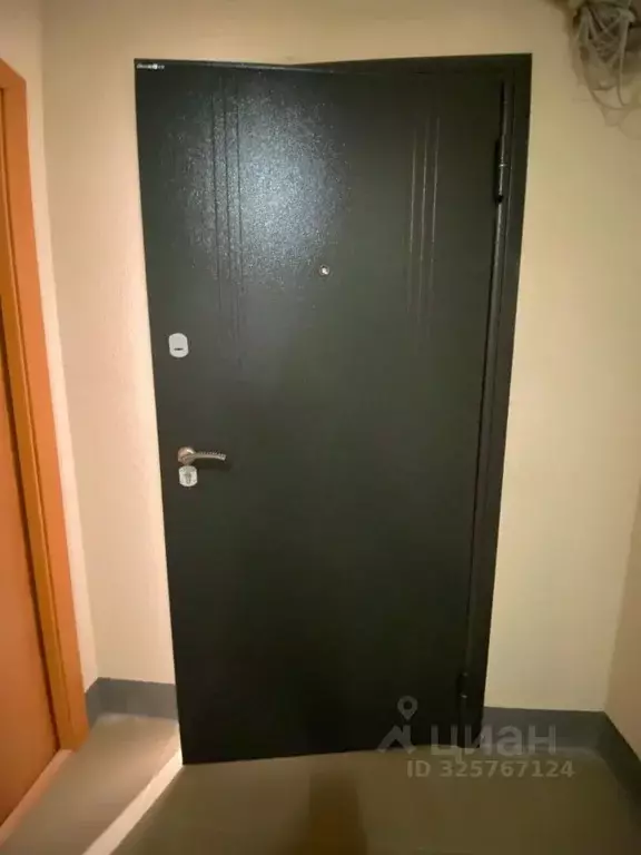 1-к кв. Московская область, Старая Купавна Богородский городской ... - Фото 1