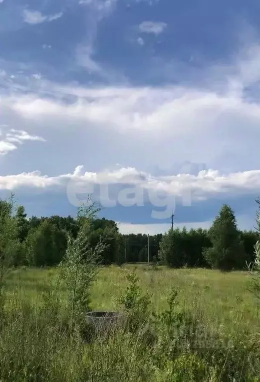 участок в костромская область, костромской район, середняковское . - Фото 1