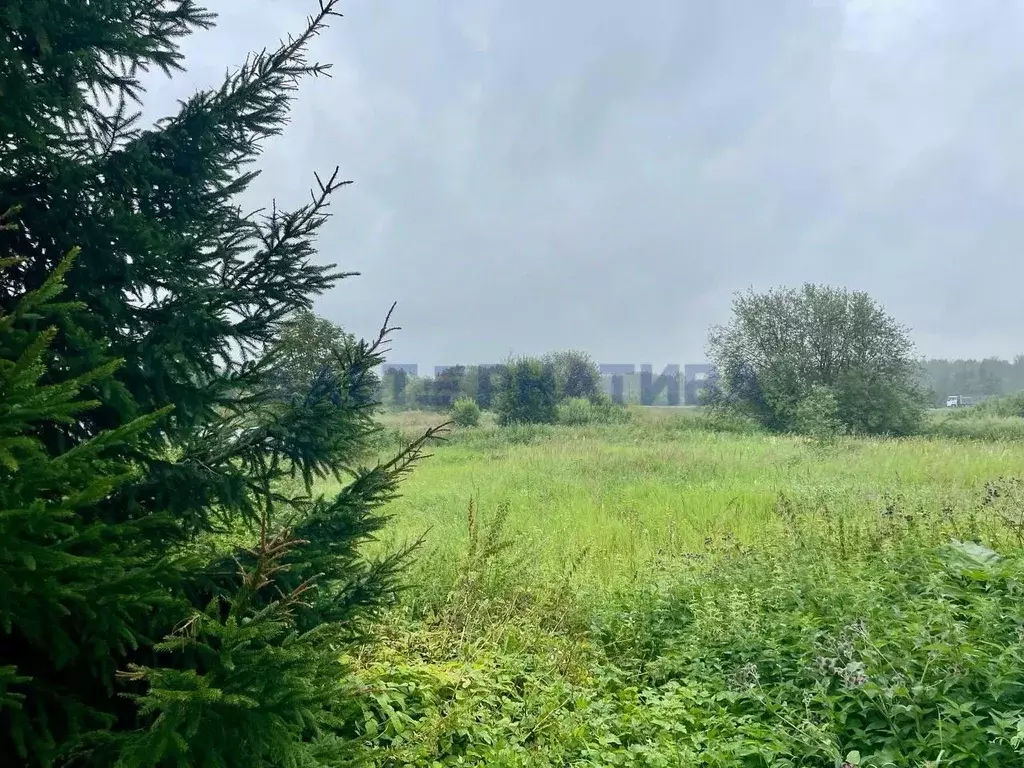 Участок в Ярославская область, Переславль-Залесский муниципальный ... - Фото 2