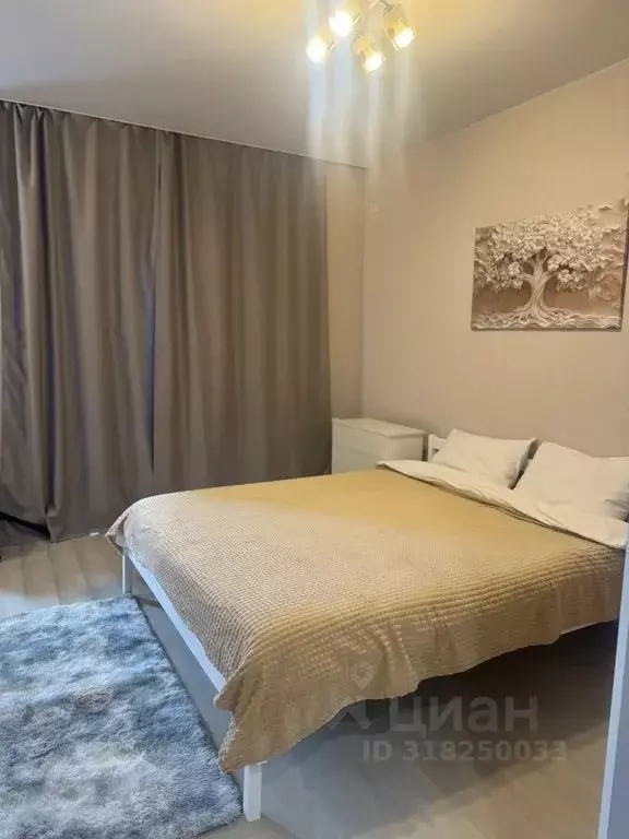 Студия Свердловская область, Екатеринбург ул. Свердлова, 32 (34.0 м) - Фото 2