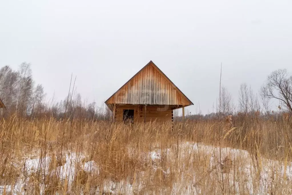 Участок в Тюменская область, Нижнетавдинский район, Сочинские СНТ 25-я ... - Фото 0