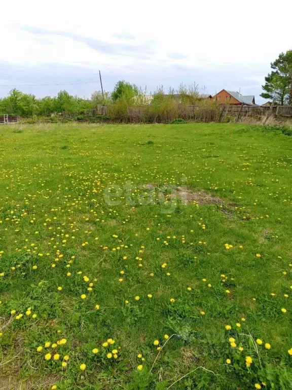 Участок в Алтайский край, Белокуриха Комсомольская ул., 33/2 (13.86 ... - Фото 0