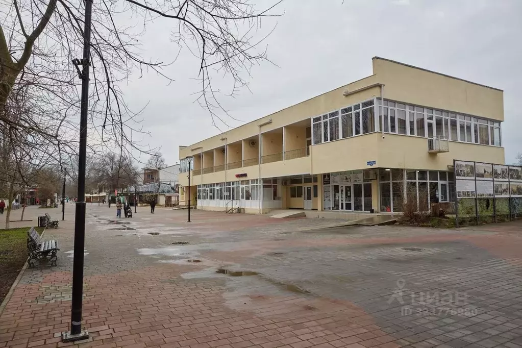 Студия Крым, Саки ул. Курортная, 31А (30.0 м) - Фото 2