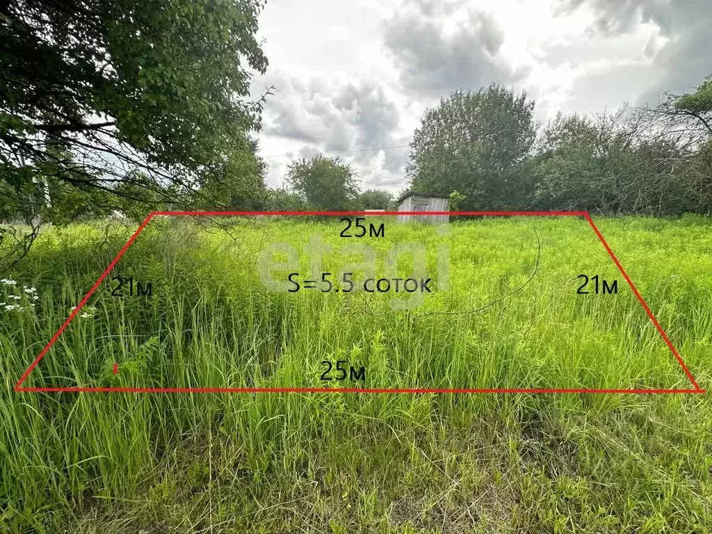 Участок в Брянская область, Брянский район, Снежское с/пос, с. ... - Фото 1