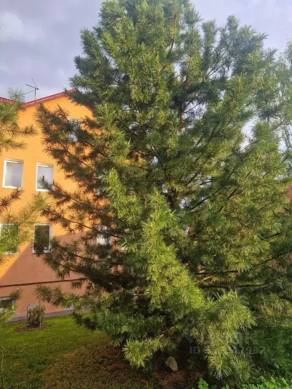 Коттедж в Пермский край, пос. Протасы, 2-й кв-л 8 (313 м) - Фото 1