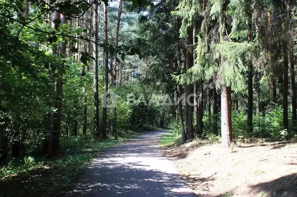 Участок в Ивановская область, Лежневский район, Сабиновское с/пос, д. ... - Фото 1