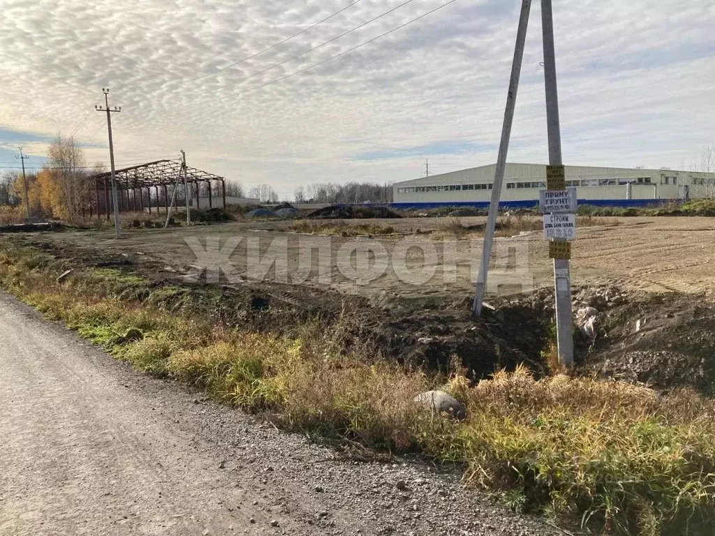 Участок в Новосибирская область, Обь ул. Большая (20.0 сот.) - Фото 1