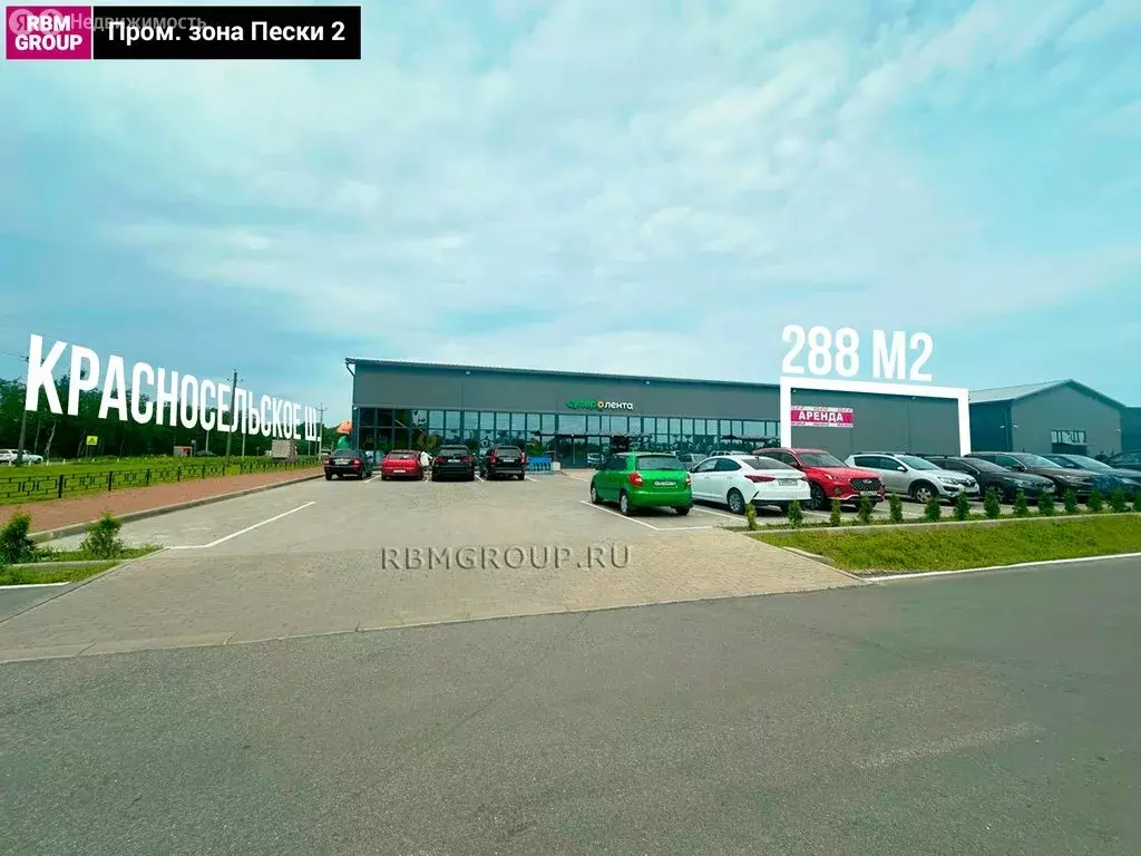 Помещение свободного назначения (288 м) - Фото 2
