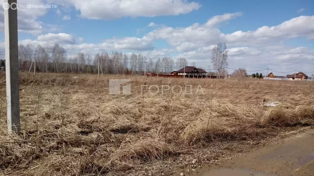 Участок в Новосибирский район, Кудряшовский сельсовет, посёлок ... - Фото 1