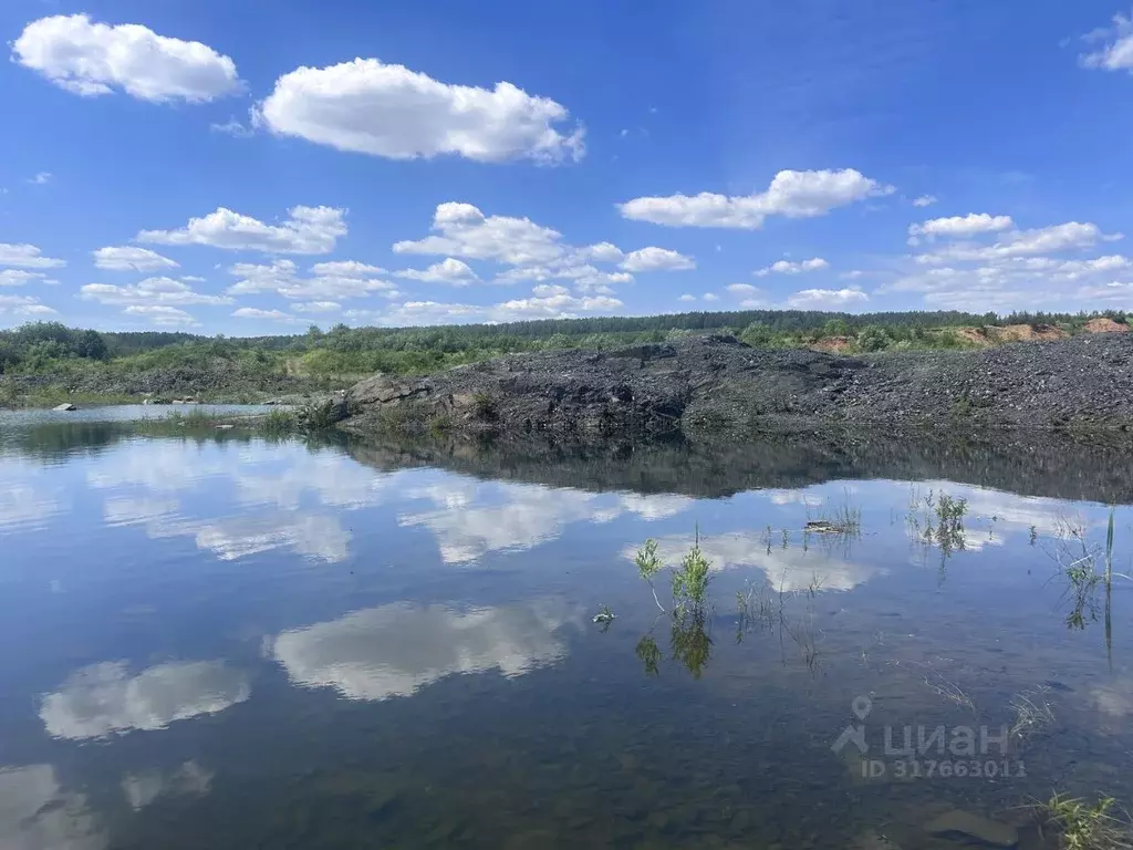 Коттедж в Свердловская область, Белоярский муниципальный округ, Чистые ... - Фото 1