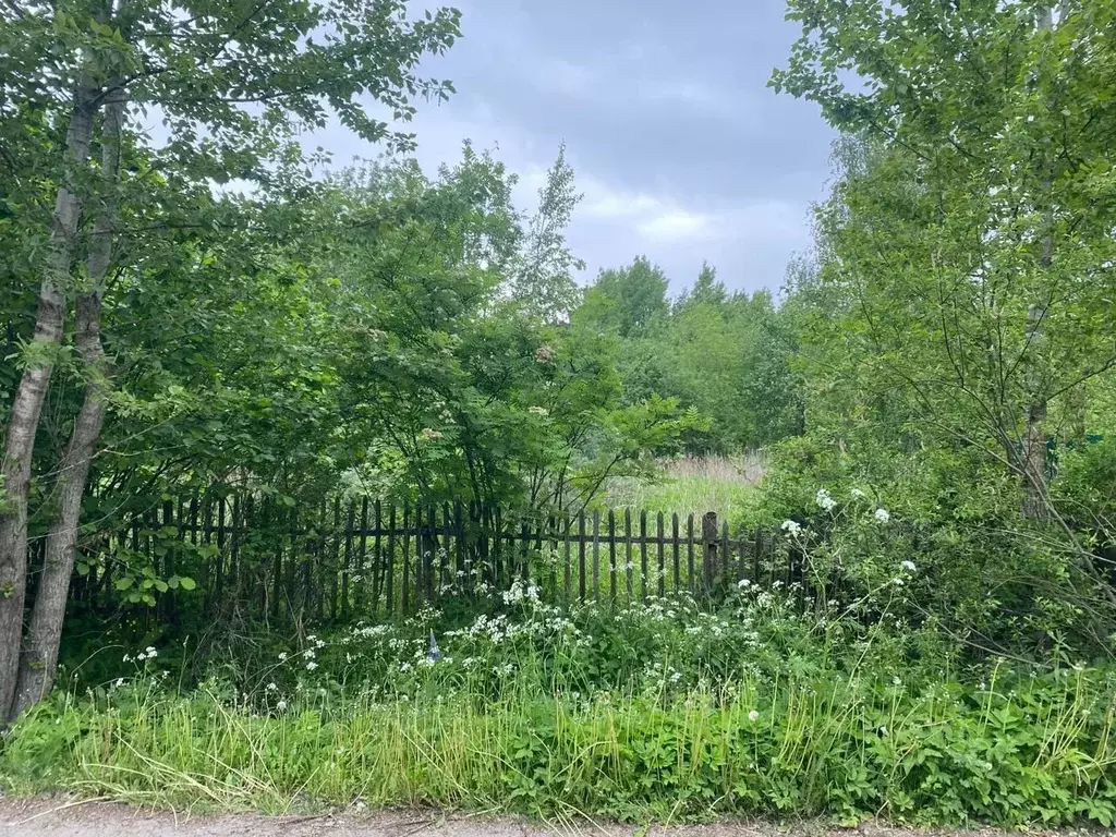 Участок в Санкт-Петербург Сергиево тер., ул. Рабочая, 3 (12.0 сот.) - Фото 0