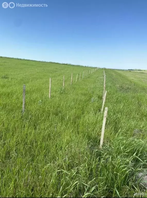 Участок в Крымский район, станица Варениковская (120 м) - Фото 2