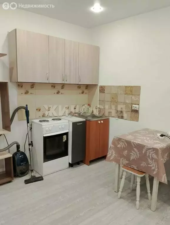 Квартира-студия: Новосибирск, улица Фадеева, 66/8 (20.9 м) - Фото 2