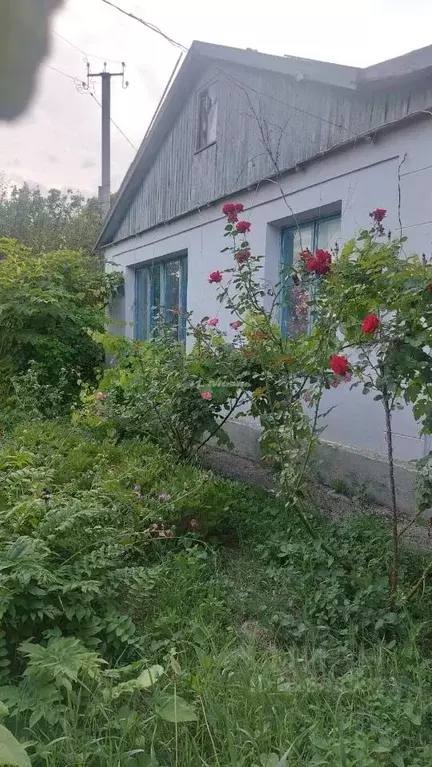 Дом в Крым, Белогорский район, Зеленогорское с/пос, с. Балки ул. ... - Фото 1