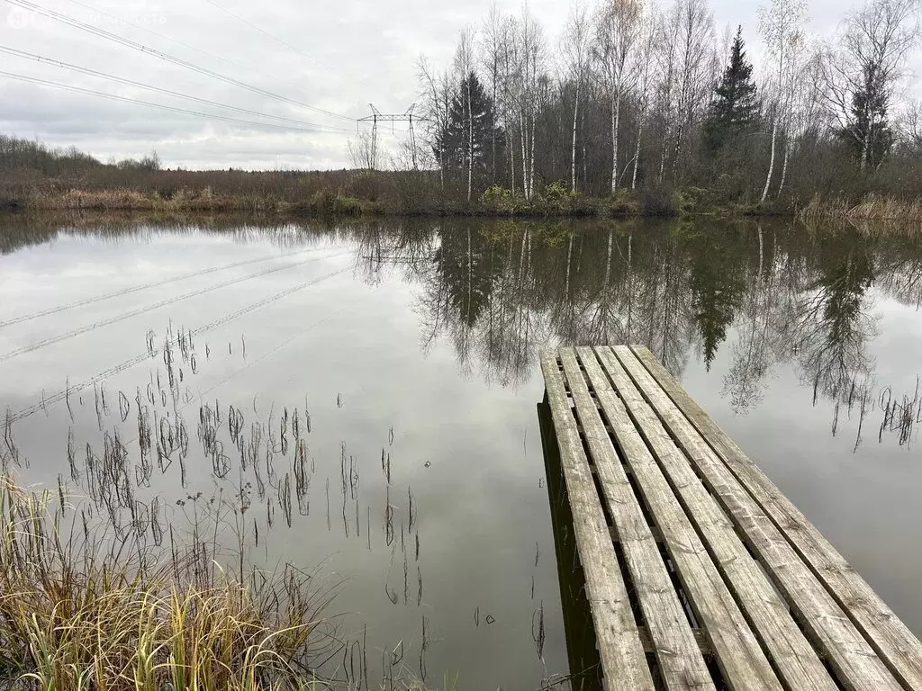 Участок в Владимирская область, Александровский муниципальный округ, ... - Фото 1