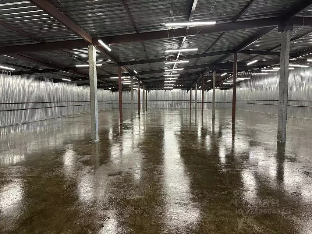 Склад в Московская область, Мытищи городской округ, д. Грибки 64Б (739 ... - Фото 1