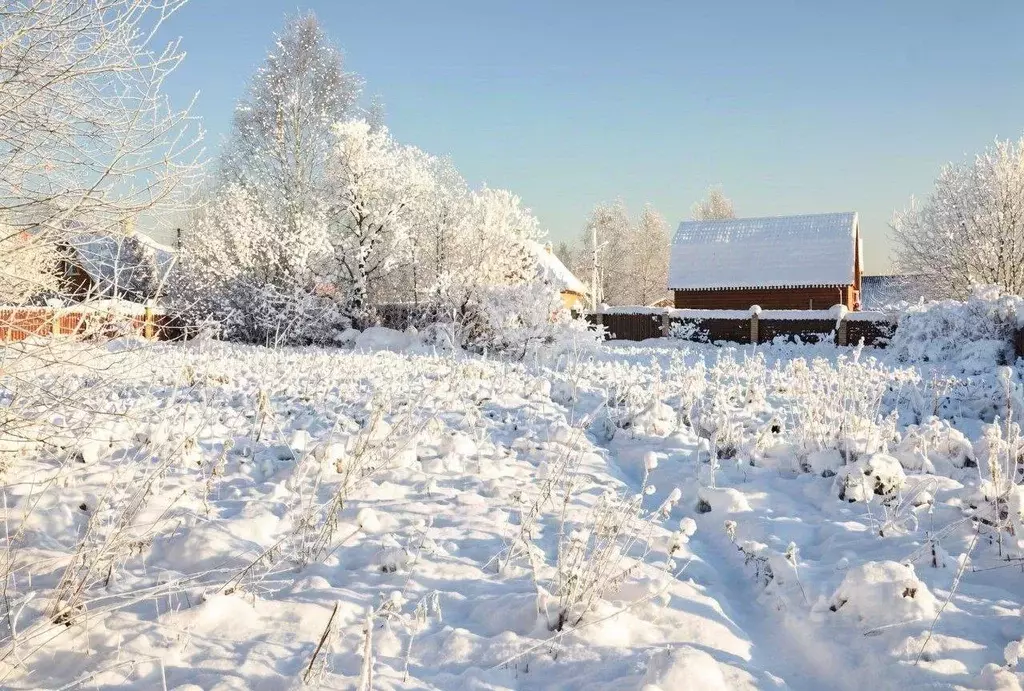 Участок в Владимирская область, Александровский муниципальный округ, ... - Фото 1