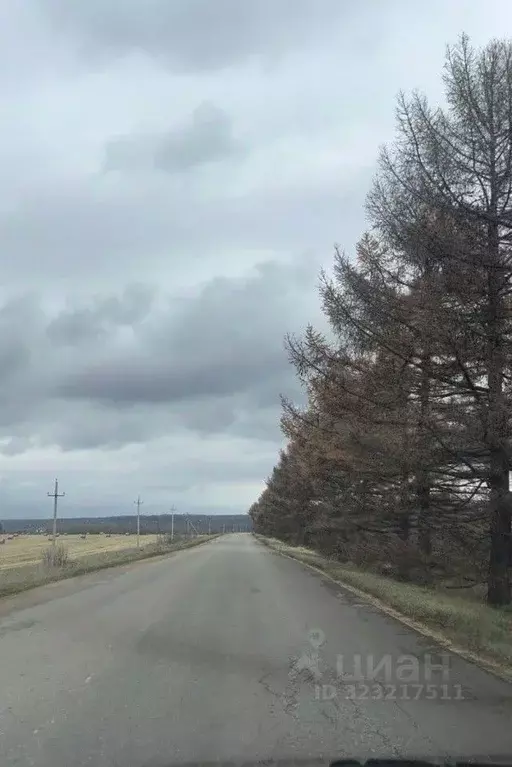 Участок в Башкортостан, Чишминский район, Ибрагимовский сельсовет, д. ... - Фото 1