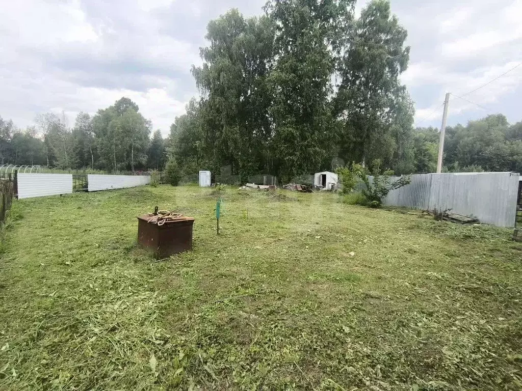 Участок в Новосибирская область, Коченевский район, Березка ... - Фото 1