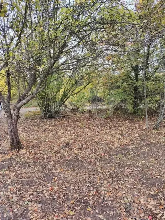 Участок в Белгородская область, Белгород Соборная пл. (6.0 сот.) - Фото 1