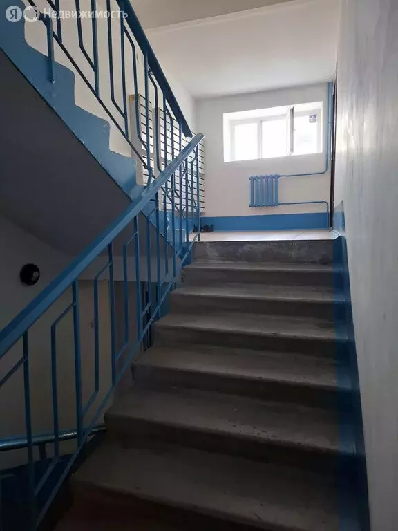 1-комнатная квартира: Новоалтайск, улица Анатолия, 92 (35 м) - Фото 0