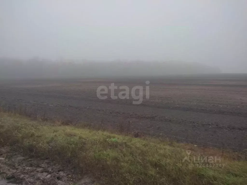 Участок в Белгородская область, Красногвардейский район, Ливенское ... - Фото 1