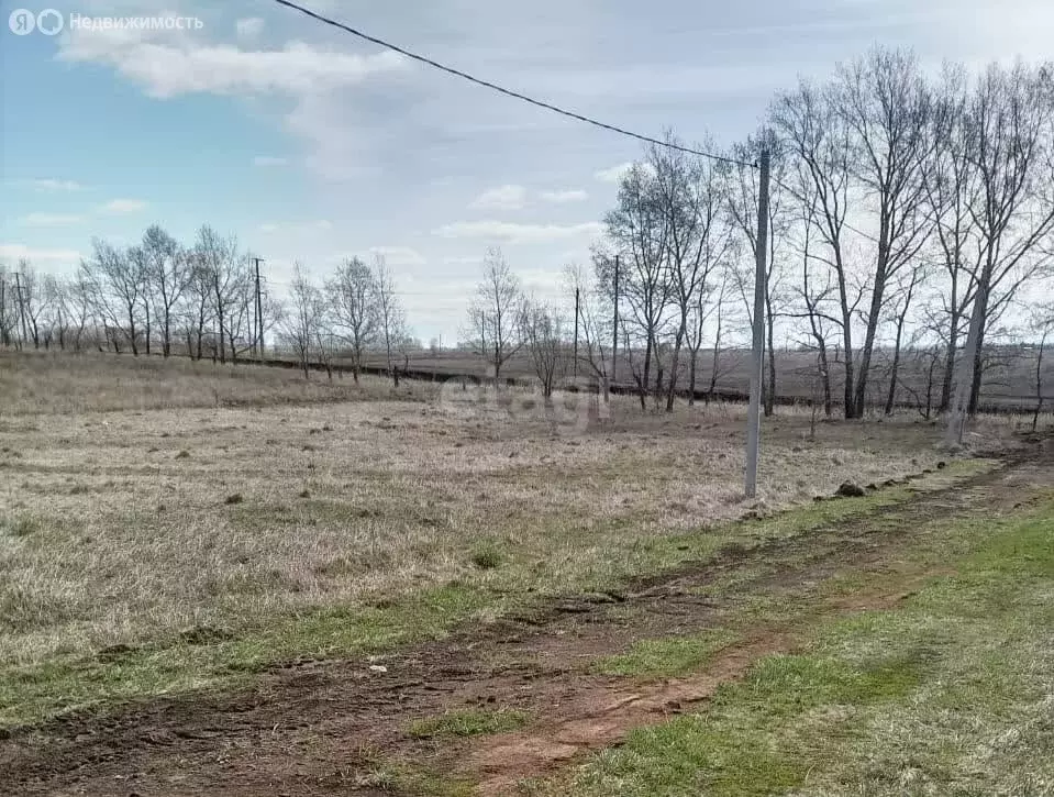 Участок в Алтайский край, городской округ Барнаул, посёлок Центральный ... - Фото 0