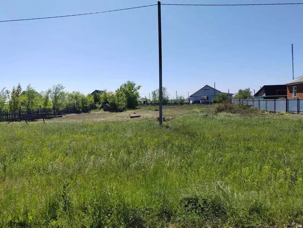 Участок в Оренбургская область, Бузулукский район, Палимовский ... - Фото 1