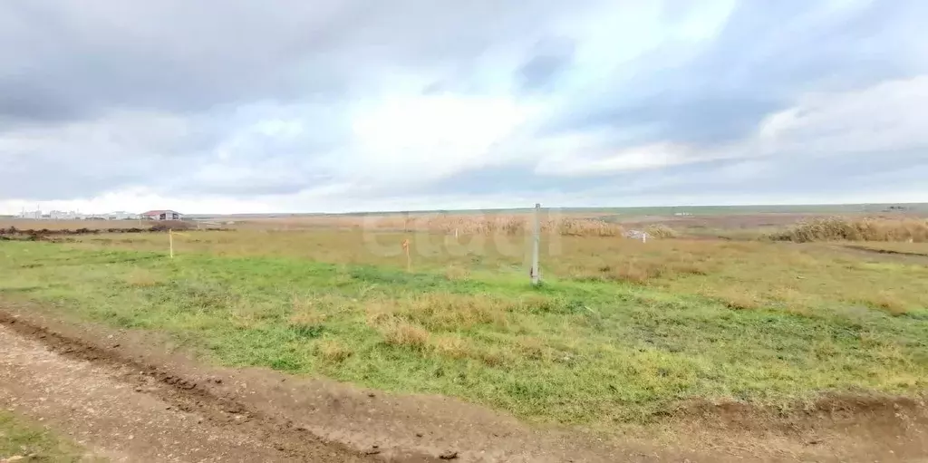 Участок в Крым, Кировский район, Синицынское с/пос, с. Красновка ул. ... - Фото 0