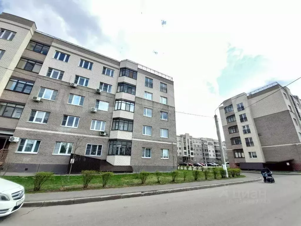 Помещение свободного назначения в Московская область, Богородский ... - Фото 1
