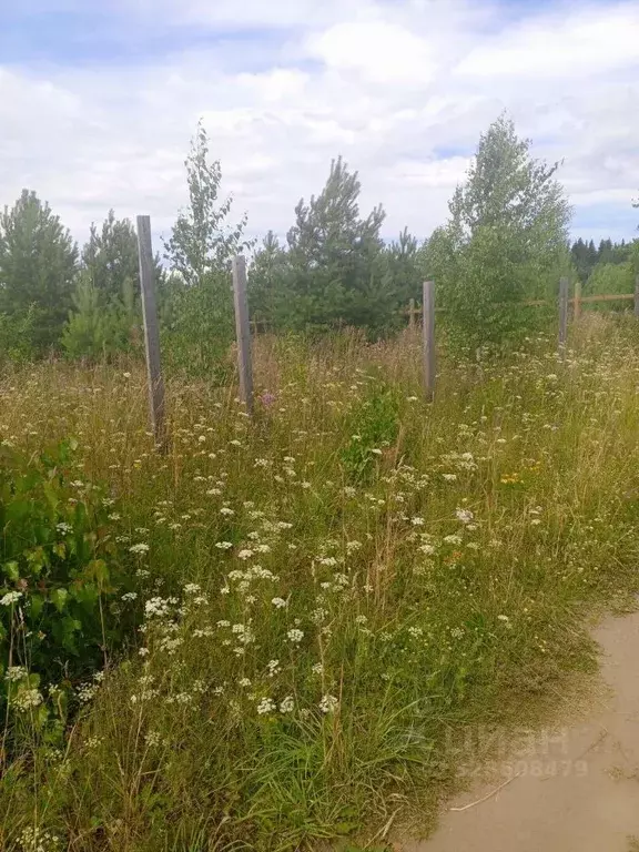 Участок в Пермский край, Пермский муниципальный округ, д. Ольховка  ... - Фото 2