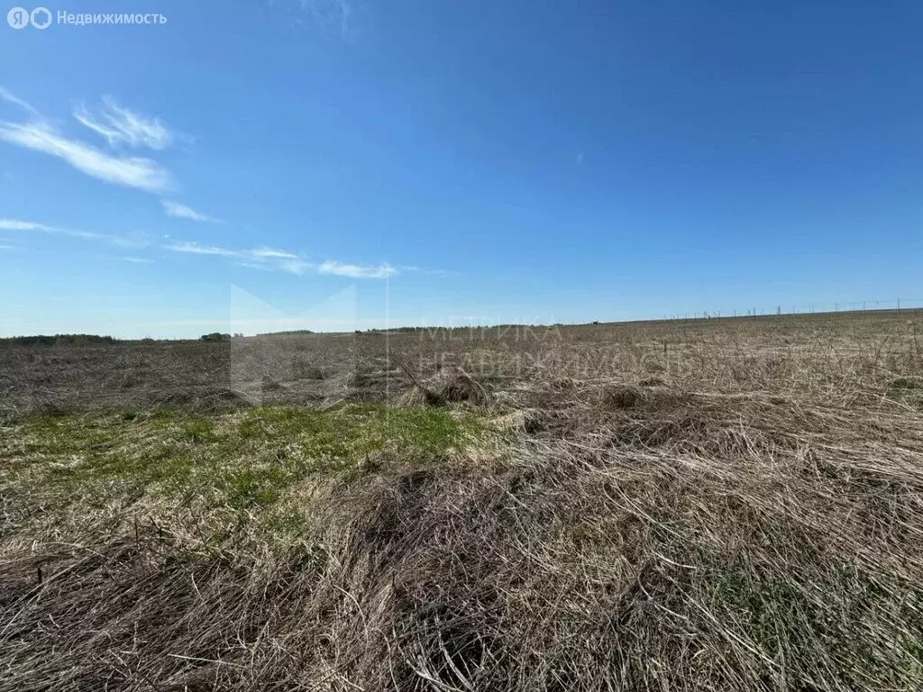 Участок в село Червишево, Придорожная улица (6.5 м) - Фото 0