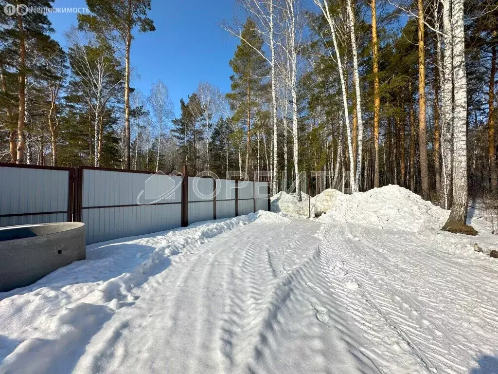 Участок в Тюменский район, деревня Ушакова (6.28 м) - Фото 1