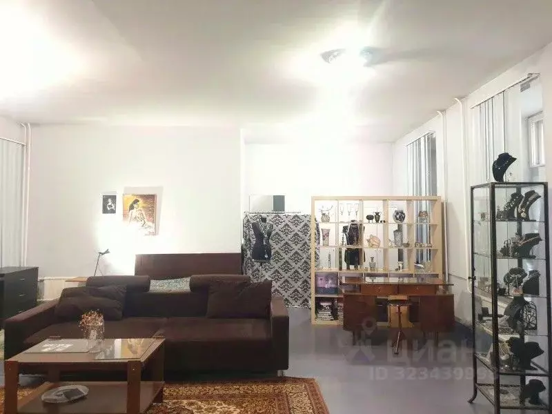 4-к кв. Санкт-Петербург Пушкинская ул., 10 (195.6 м) - Фото 1