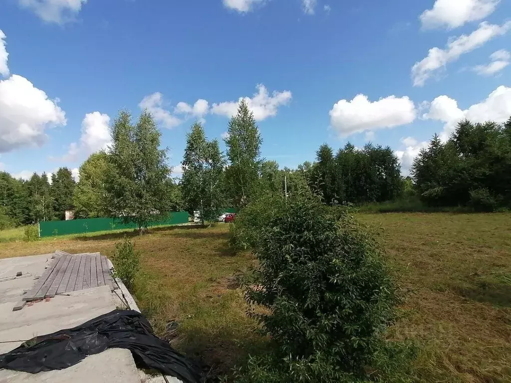 Участок в Новосибирская область, Искитимский район, Морозовский ... - Фото 1