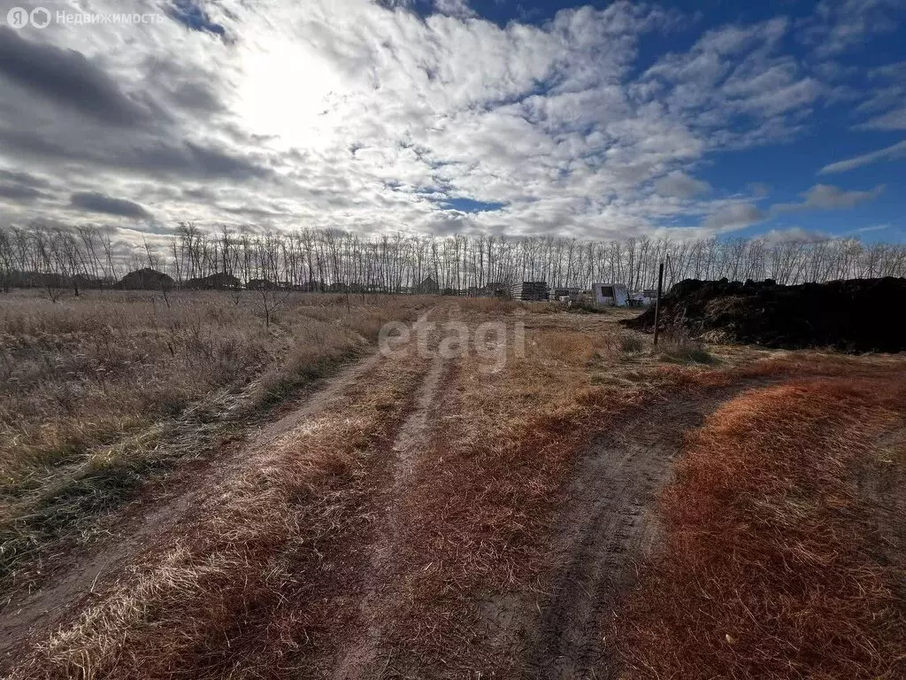 Участок в село Усть-Заостровка, коттеджный посёлок Иртышские Зори, ... - Фото 1