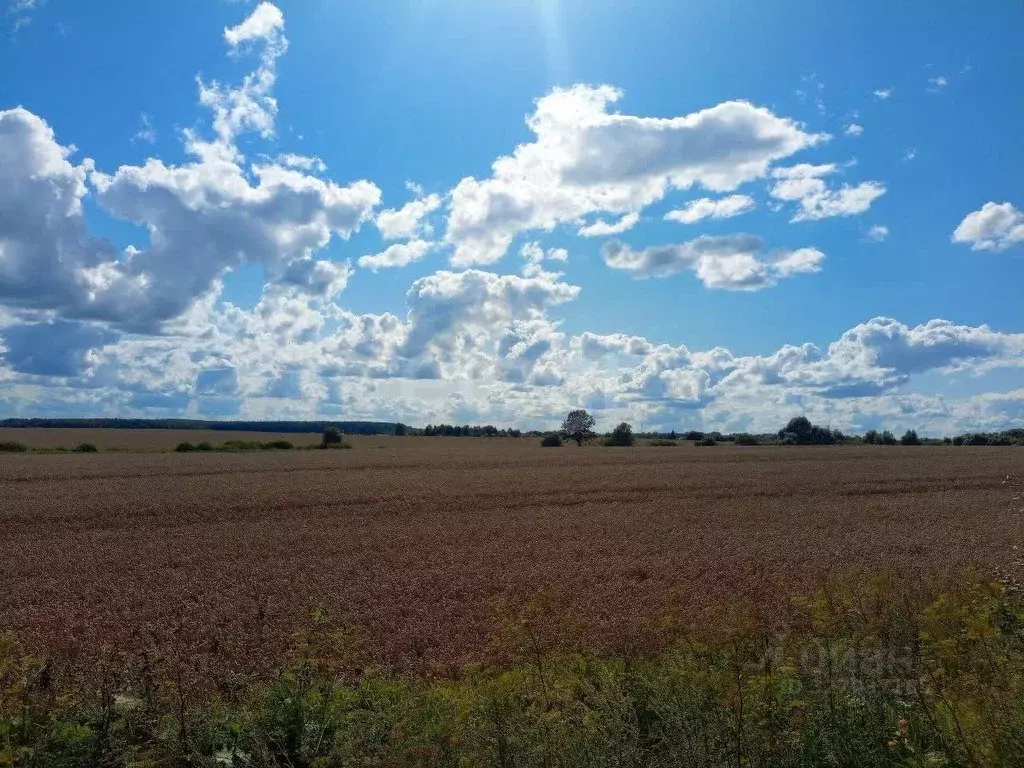 Участок в Калужская область, Село Бабынино с/пос, с. Бабынино  (71.0 ... - Фото 1