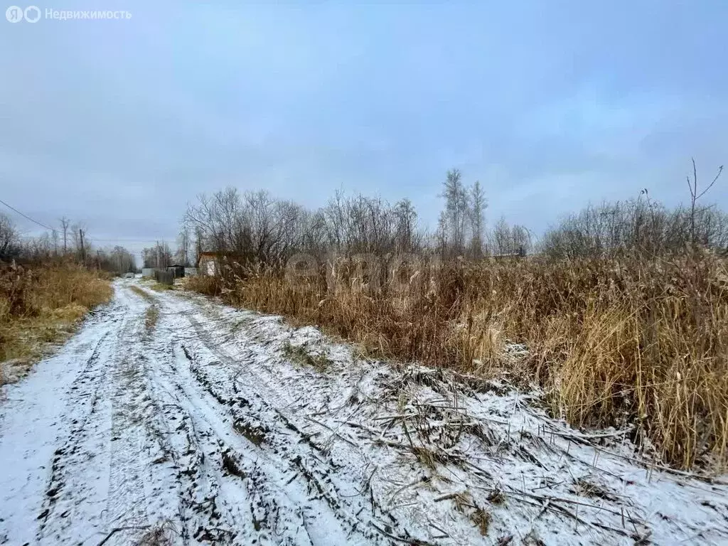 Участок в Тюменская область, Нижнетавдинский муниципальный округ, СНТ ... - Фото 2