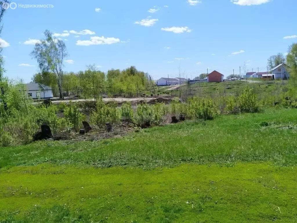 Участок в Новосибирская область, рабочий посёлок Ордынское, Урожайная ... - Фото 2