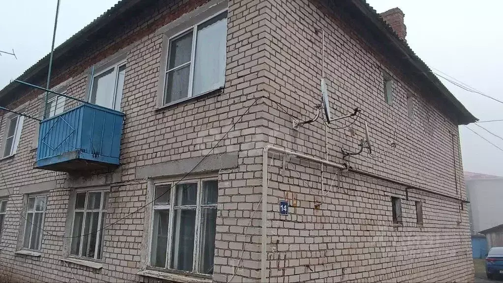 3-к кв. Смоленская область, Рудня ул. Пирогова, 14 (52.8 м) - Фото 1