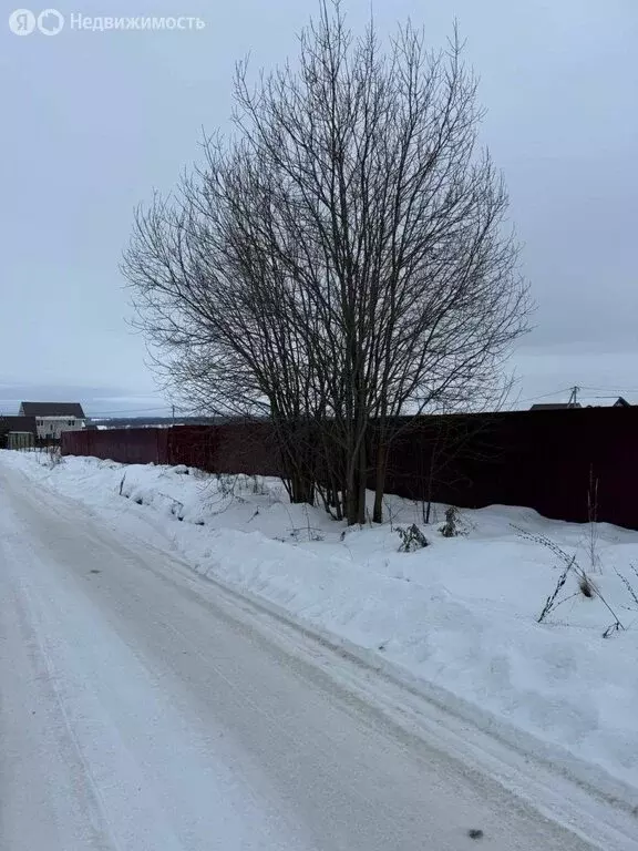 Участок в Нижегородская область, Богородский муниципальный округ, ... - Фото 1