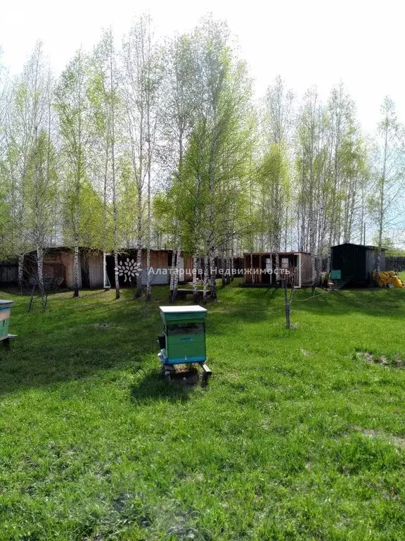 Дом в Томский район, деревня Кандинка (32.8 м) - Фото 2
