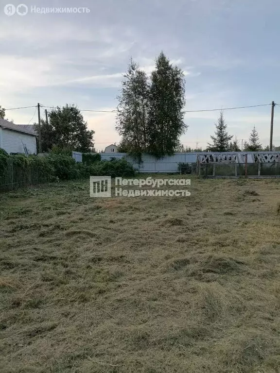 Участок в Новая Ладога, садоводческое некоммерческое товарищество ... - Фото 1