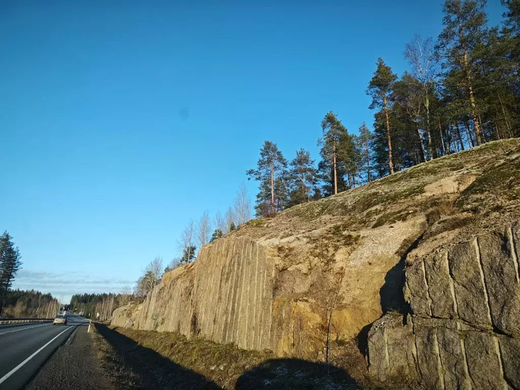 Участок в Ленинградская область, Выборгский район, Светогорское ... - Фото 0