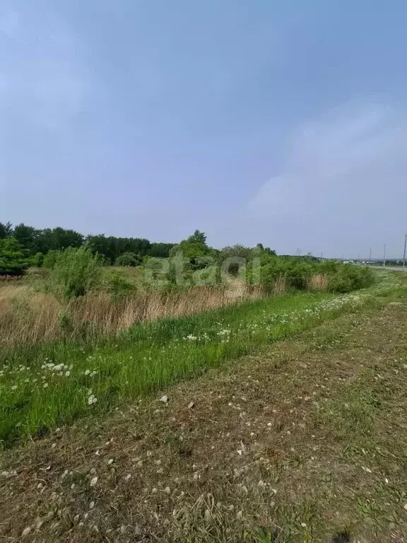 Участок в Хабаровский край, Хабаровский район, с. Краснореченское  ... - Фото 1
