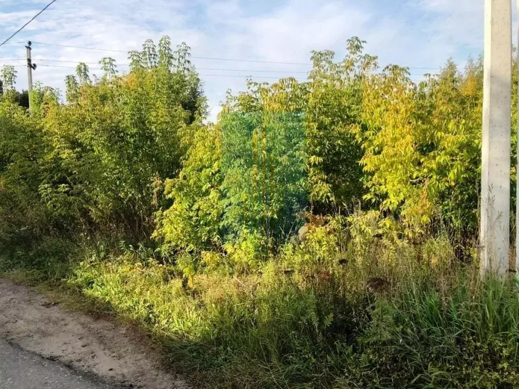 Участок в Московская область, Подольск городской округ, д. Яковлево  ... - Фото 1