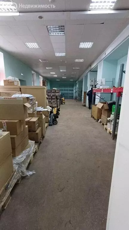 Производственное помещение (273.3 м) - Фото 2