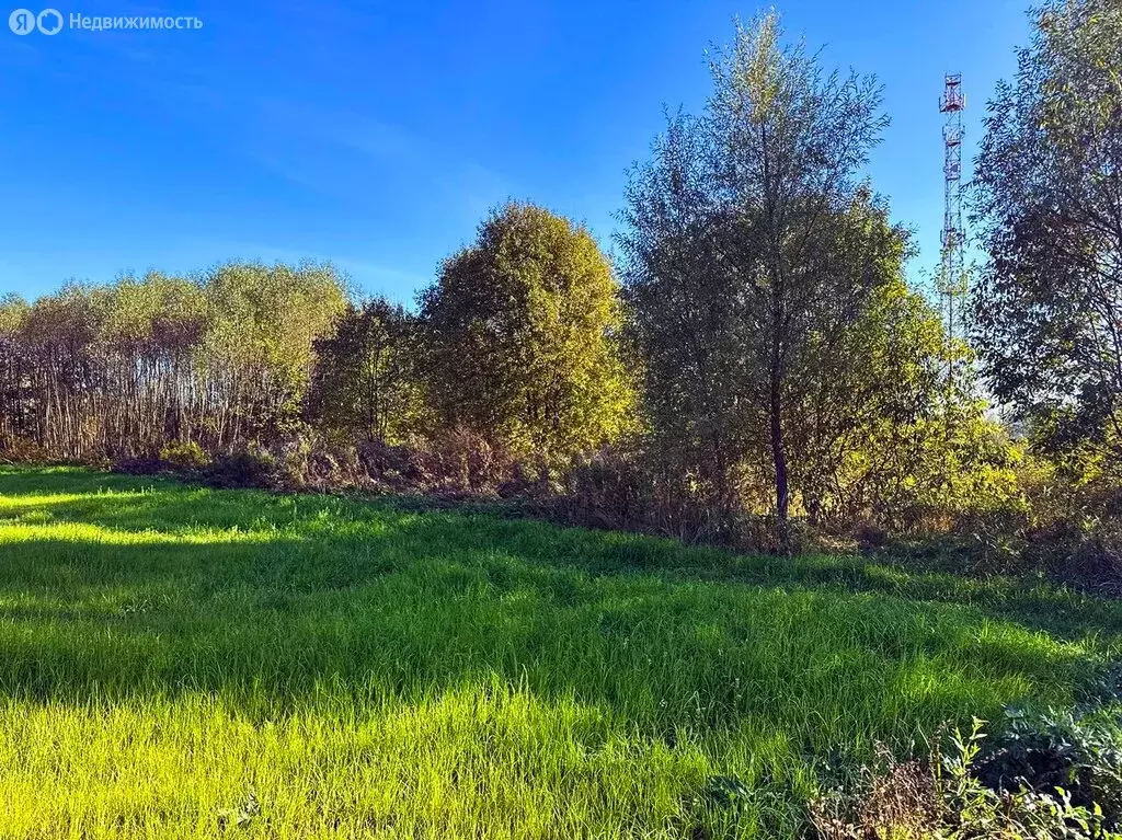 Участок в Московская область, Раменский муниципальный округ, КП ... - Фото 2