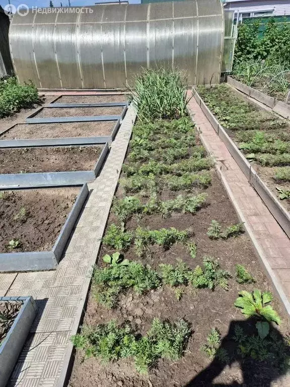 Дом в Томск, садовое товарищество Ветеран, 2-я улица (40 м) - Фото 1