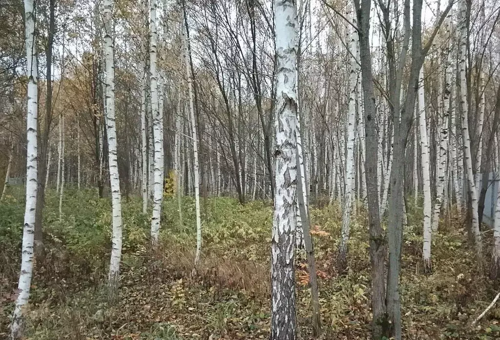 Участок в Московская область, Одинцовский городской округ, с. ... - Фото 2